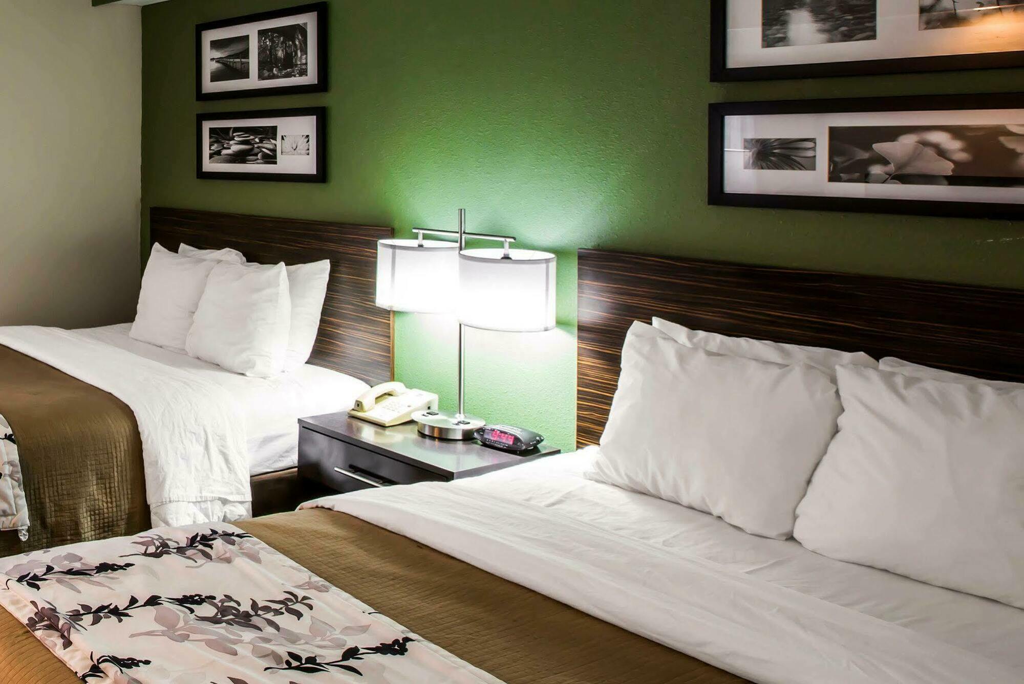 Sleep Inn & Suites Kingsport Tricities Airport מראה חיצוני תמונה
