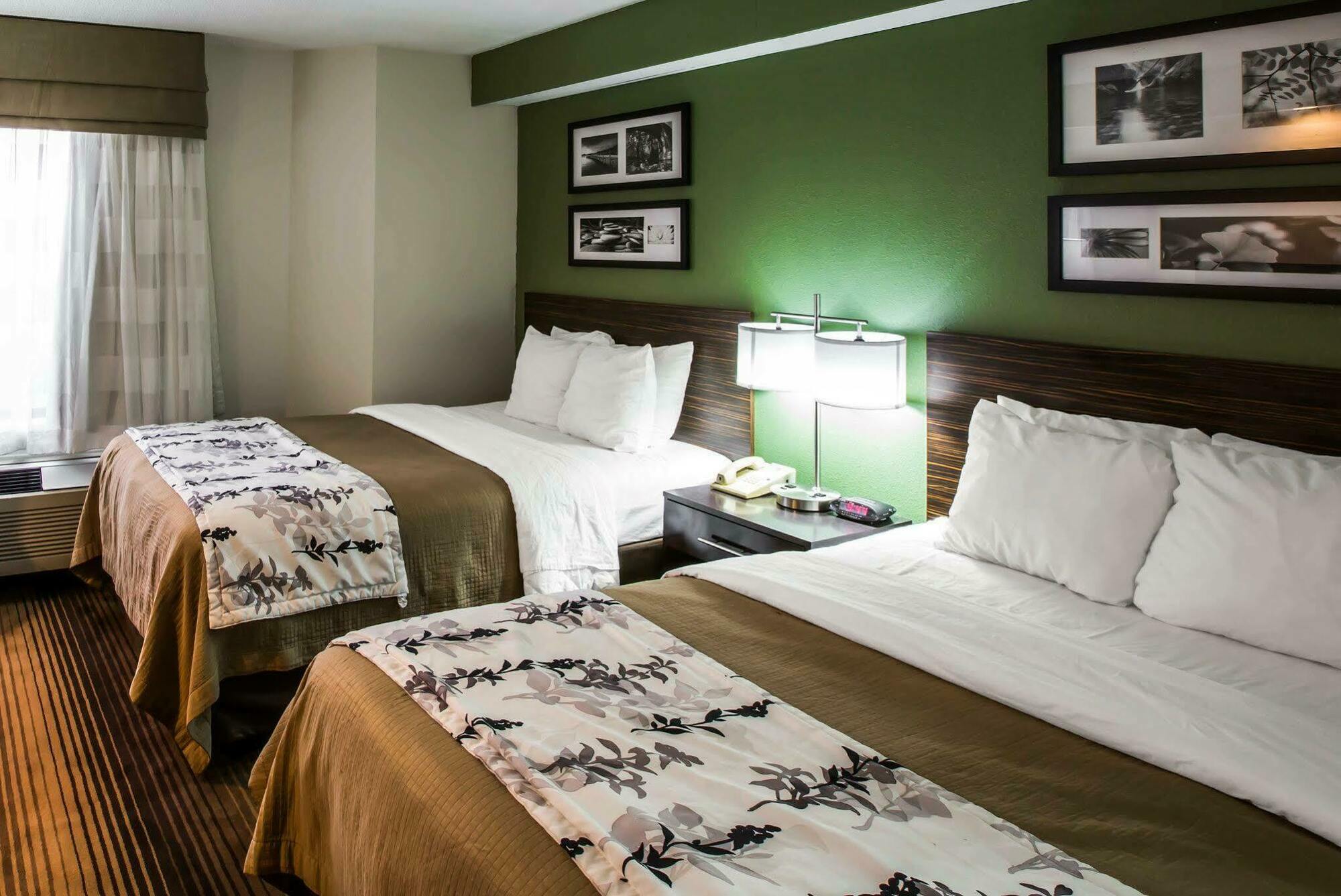 Sleep Inn & Suites Kingsport Tricities Airport מראה חיצוני תמונה